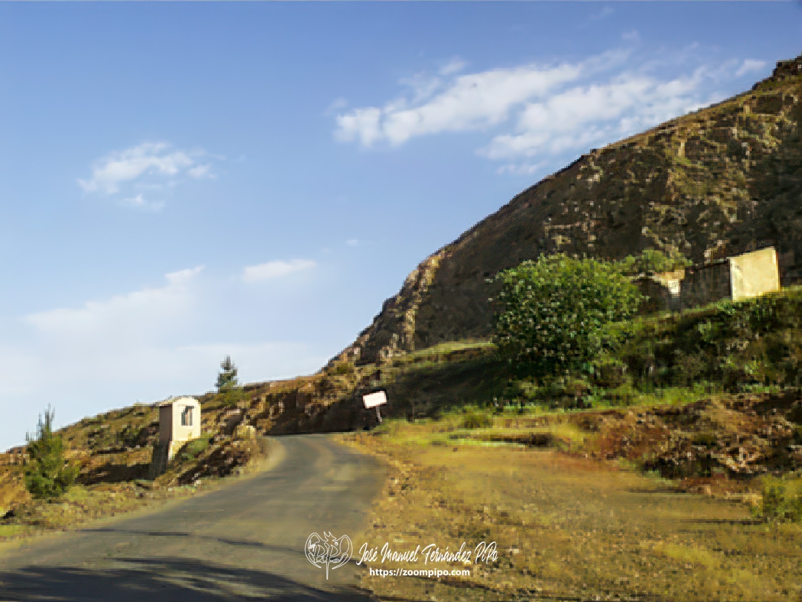 pic00229-E
