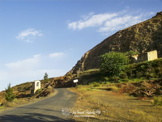 pic00229-E
