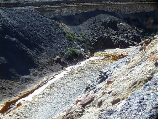 pic00302-E