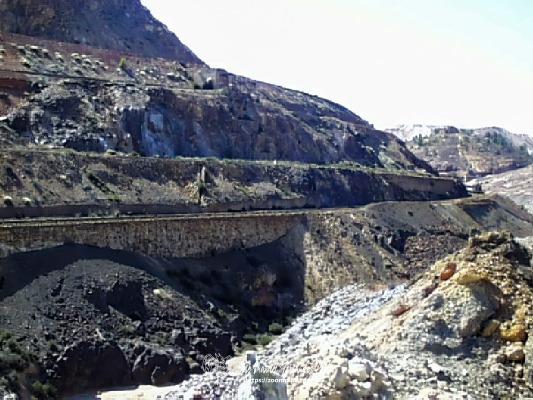 pic00305-E