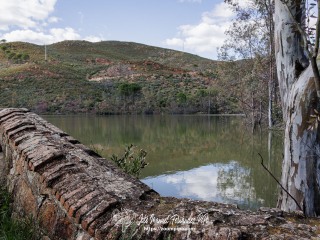 Tumbanales II 07-04-25
