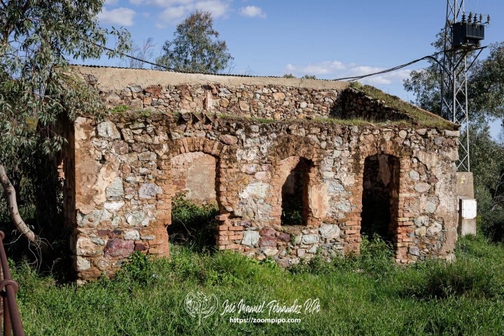 PiPo_764325-Mejorado-NR-Erl