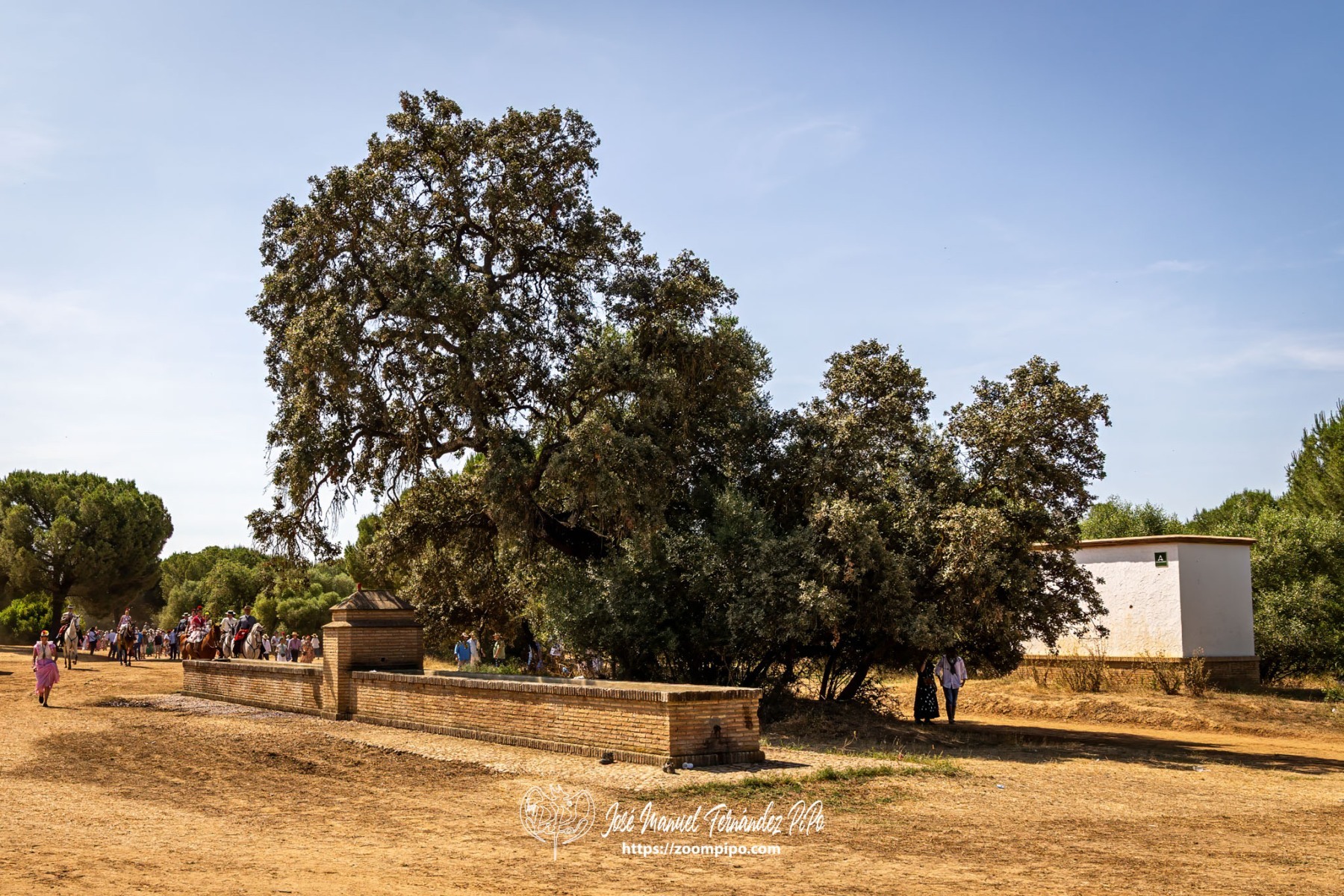 PiPo-0809448-E-E