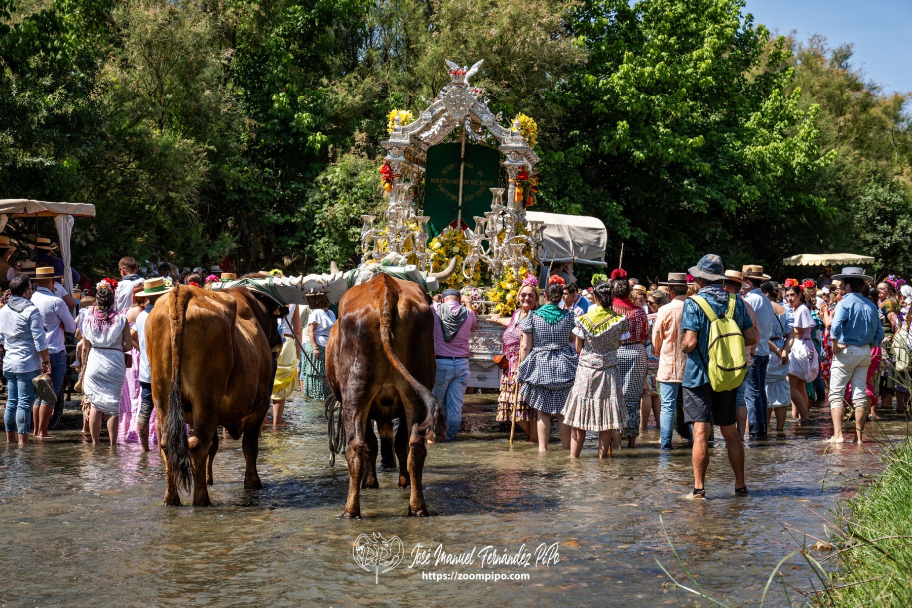 PiPo-0809481-E-E