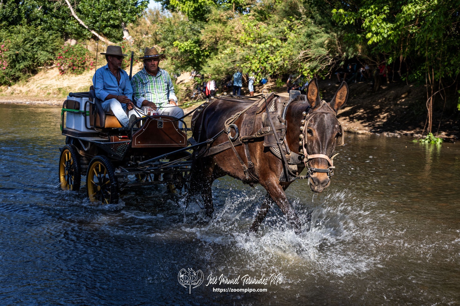 PiPo-0810029-E-E