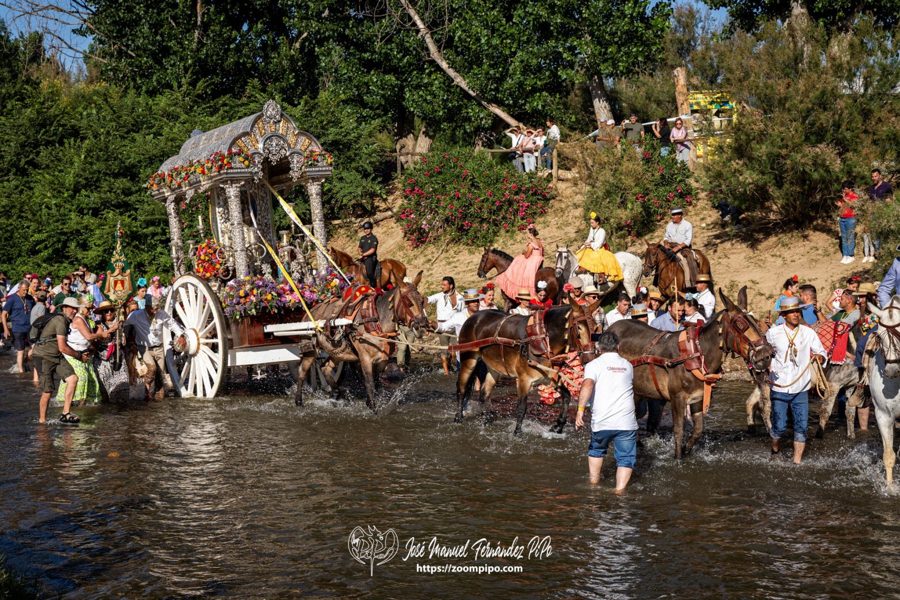 PiPo-0810118-E-E