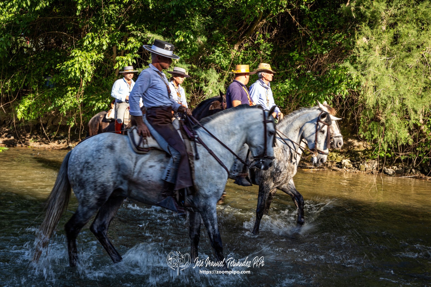 PiPo-0810191-E-E