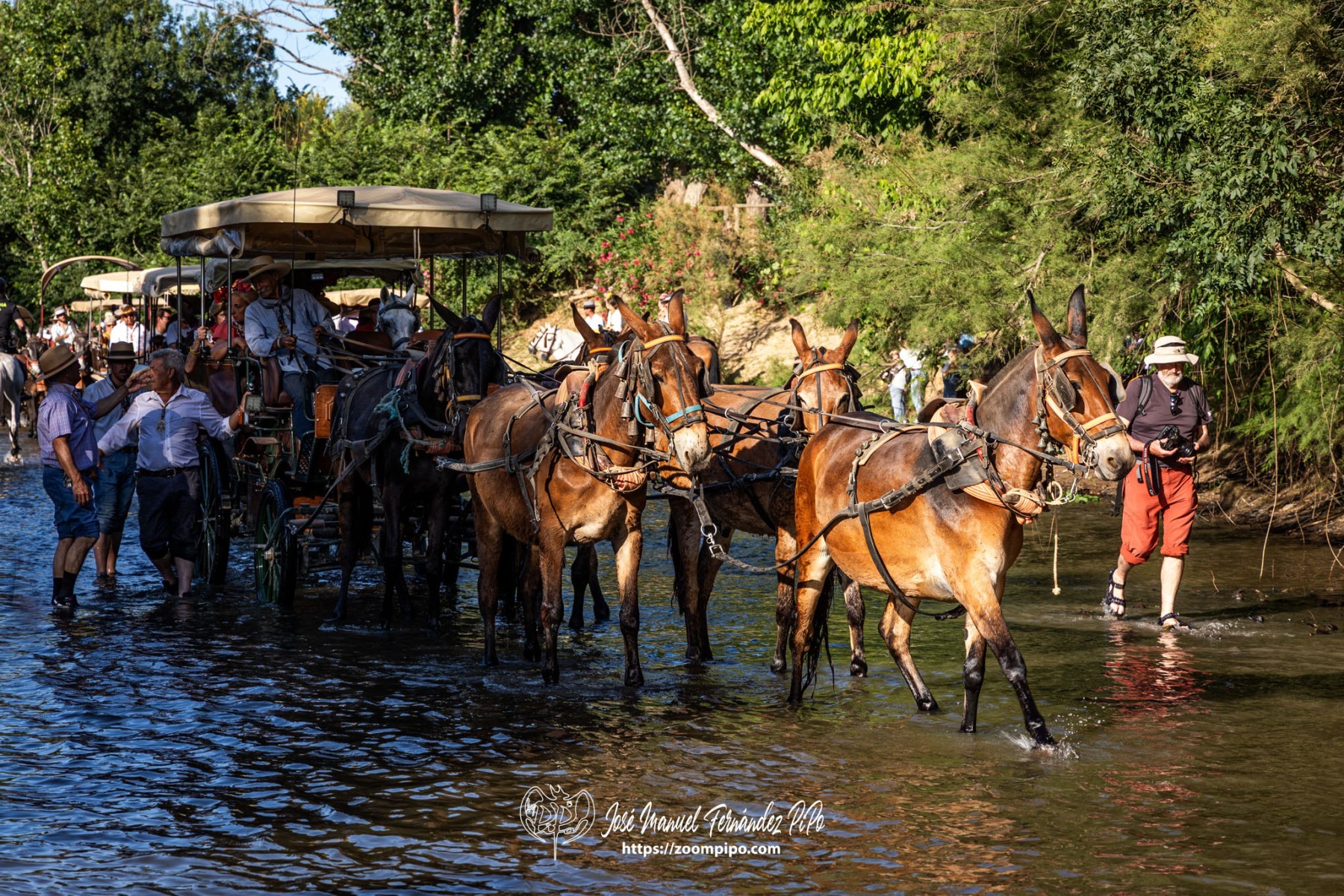 PiPo-0810254-E-E