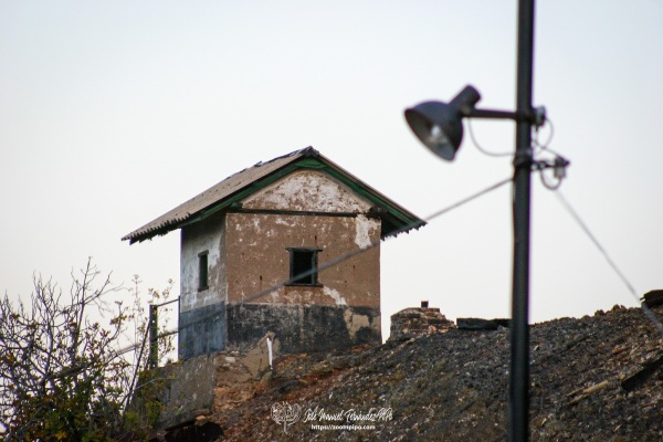 IMG_2139-E