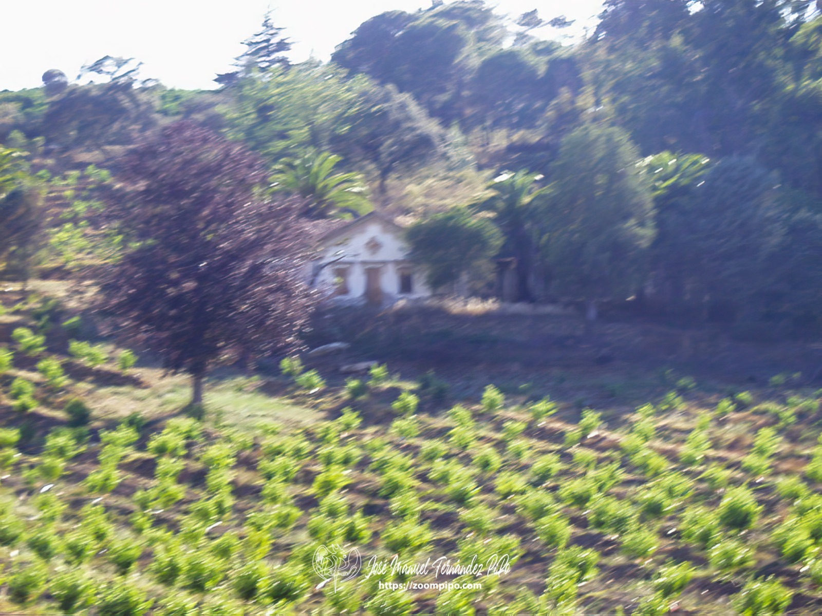 PIC00040-E