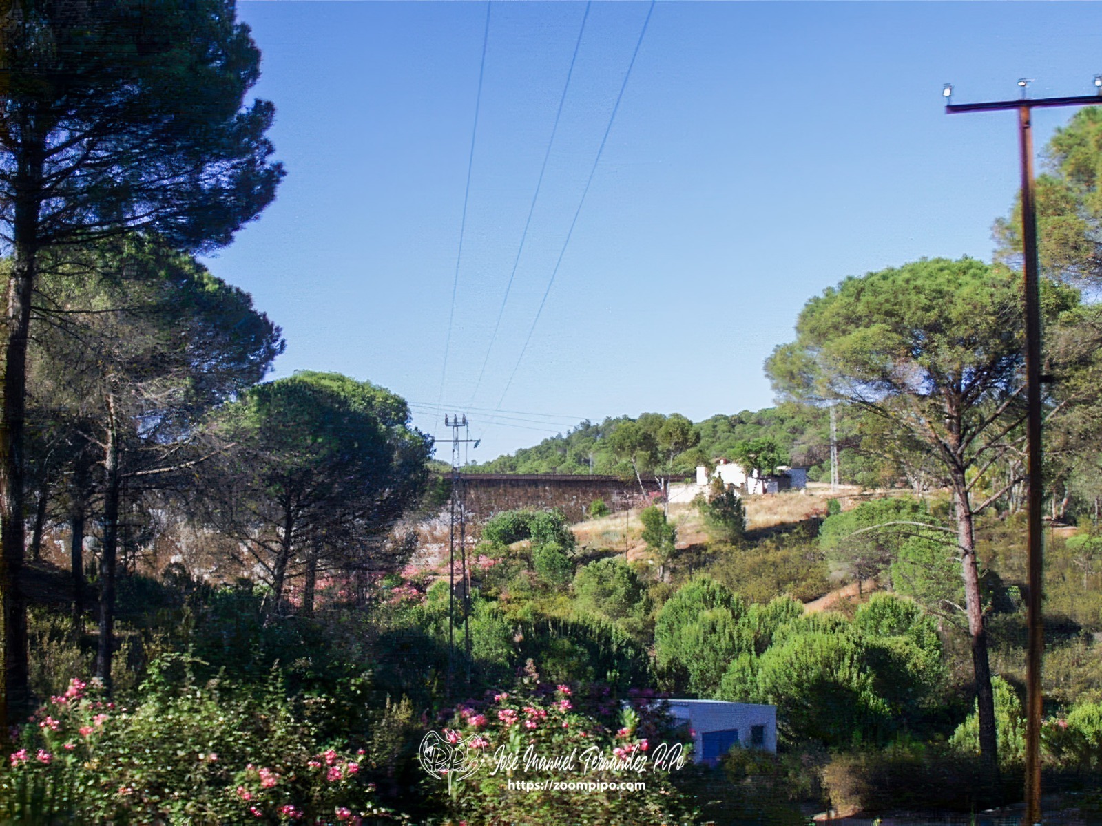 PIC00044-E
