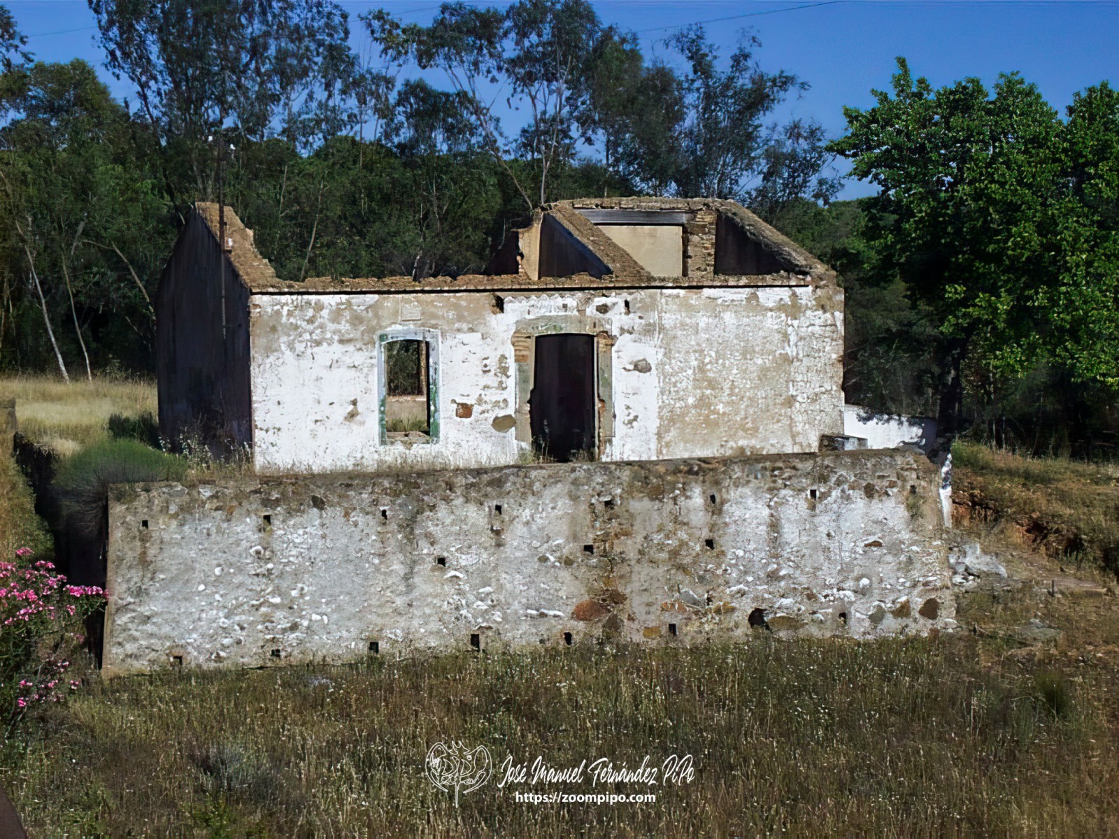 PIC00157-E