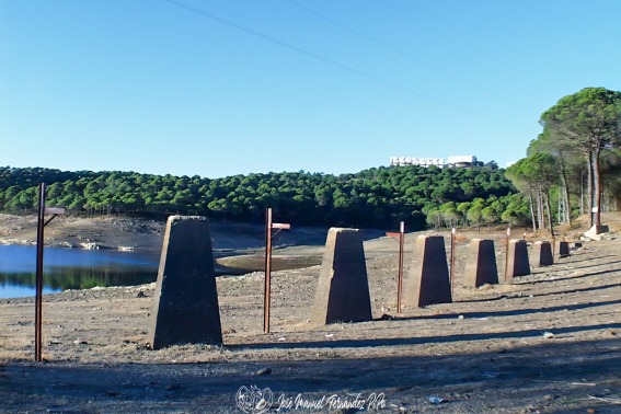 Zumajo 1999
