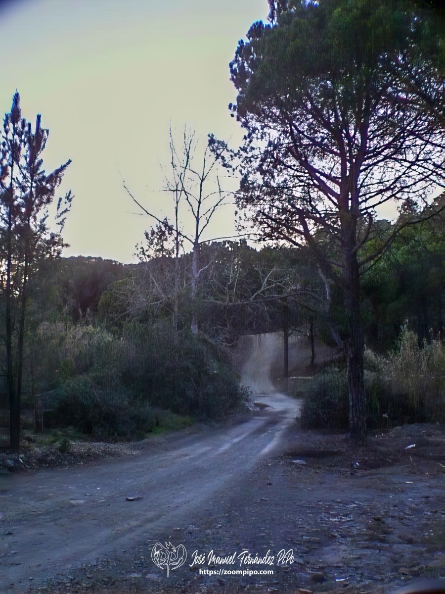 pic00006-E
