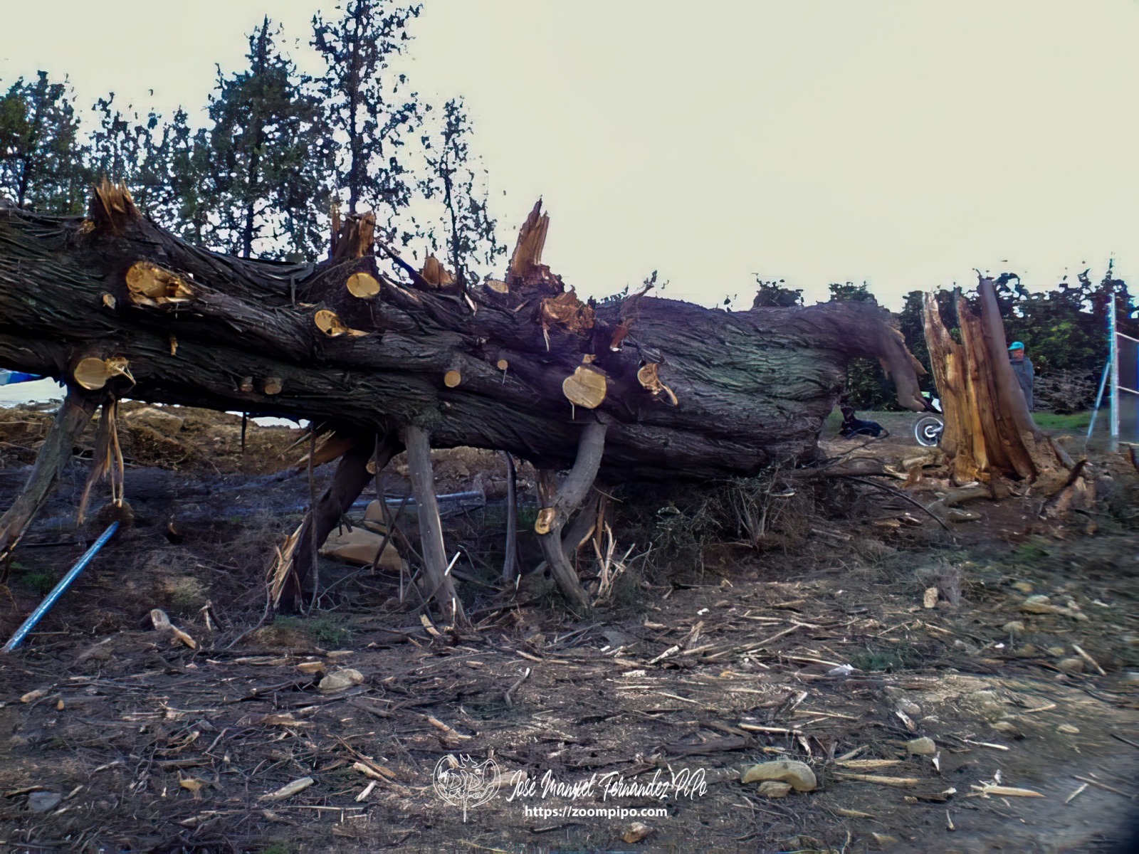 pic00012-E