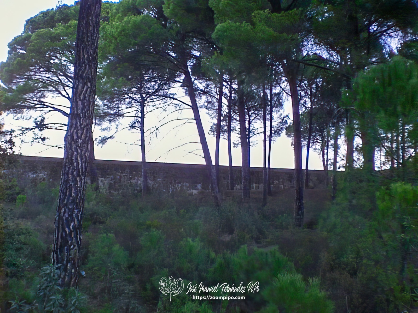 pic00016-E