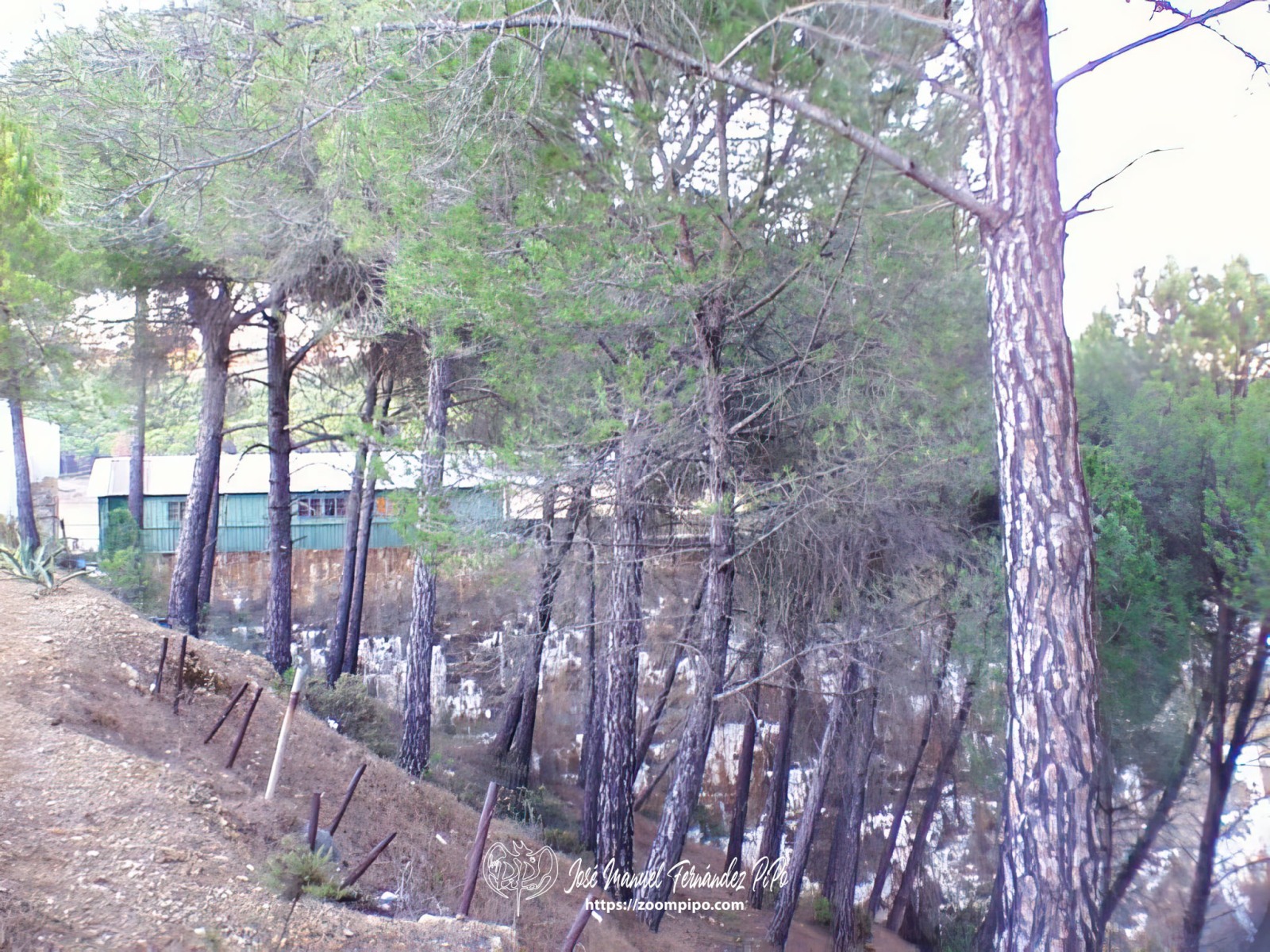 pic00017-E