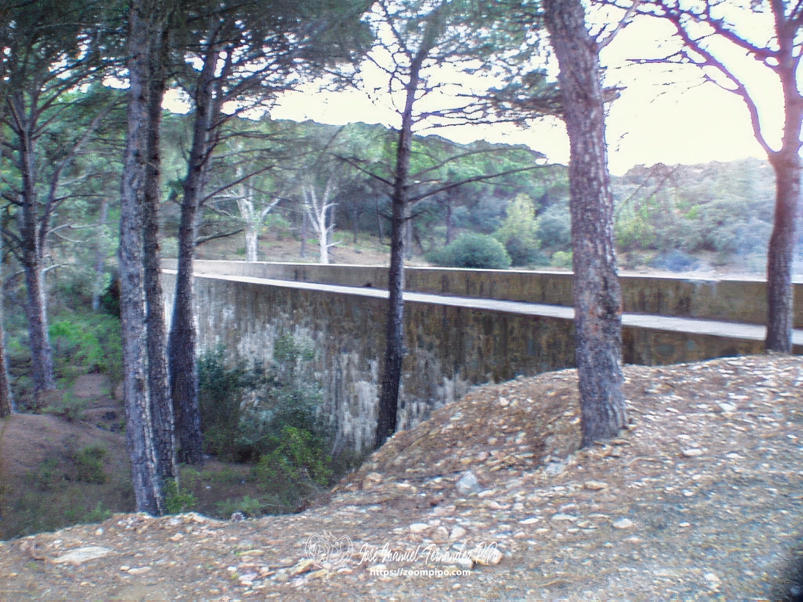 pic00019-E