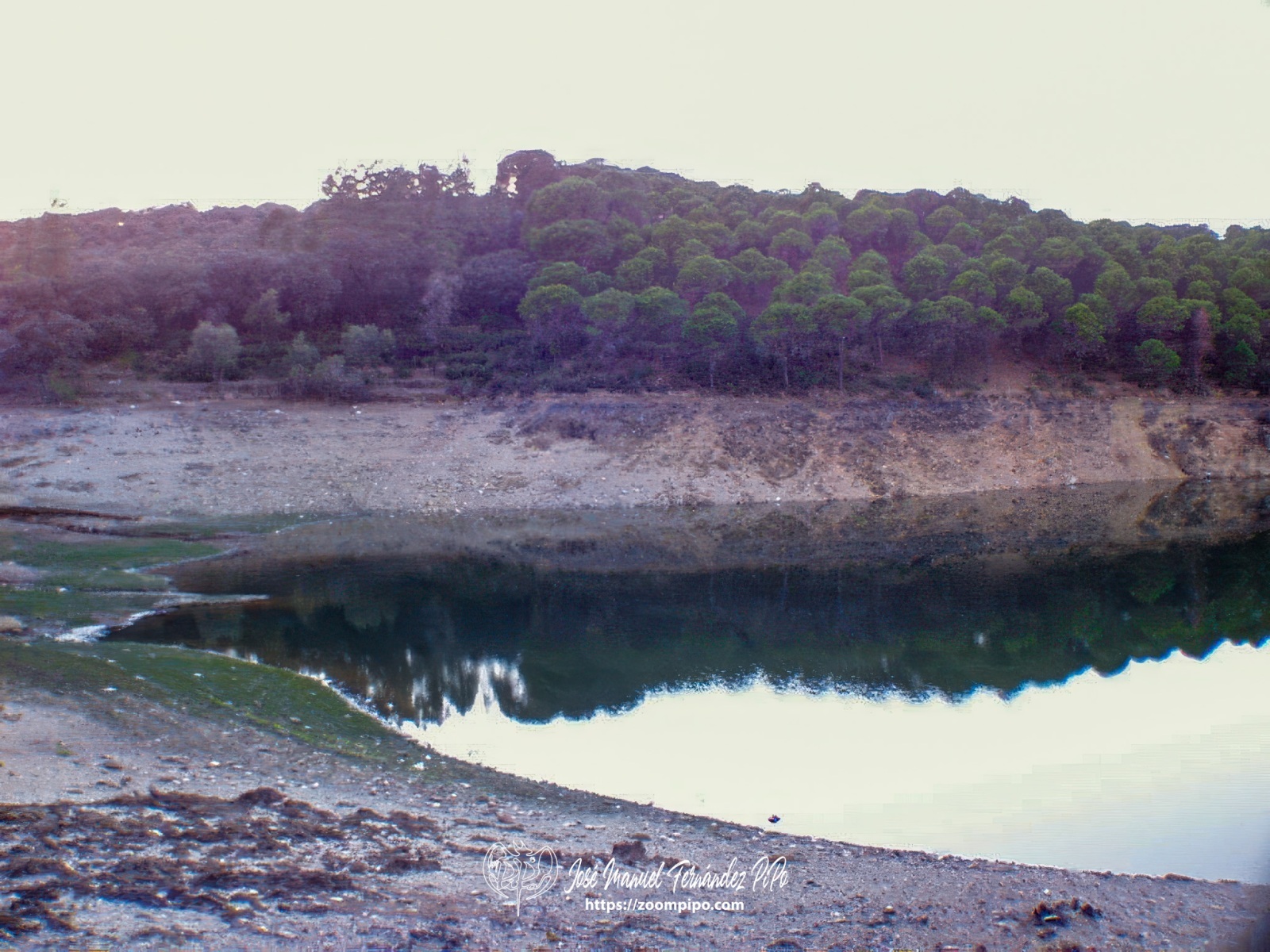 pic00021-E