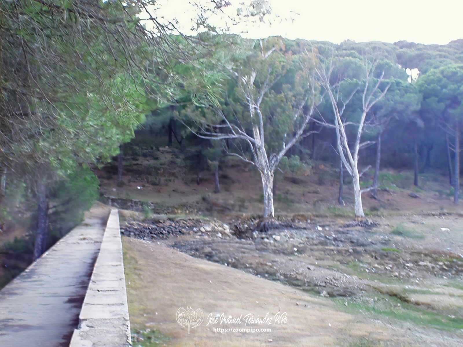 pic00022-E