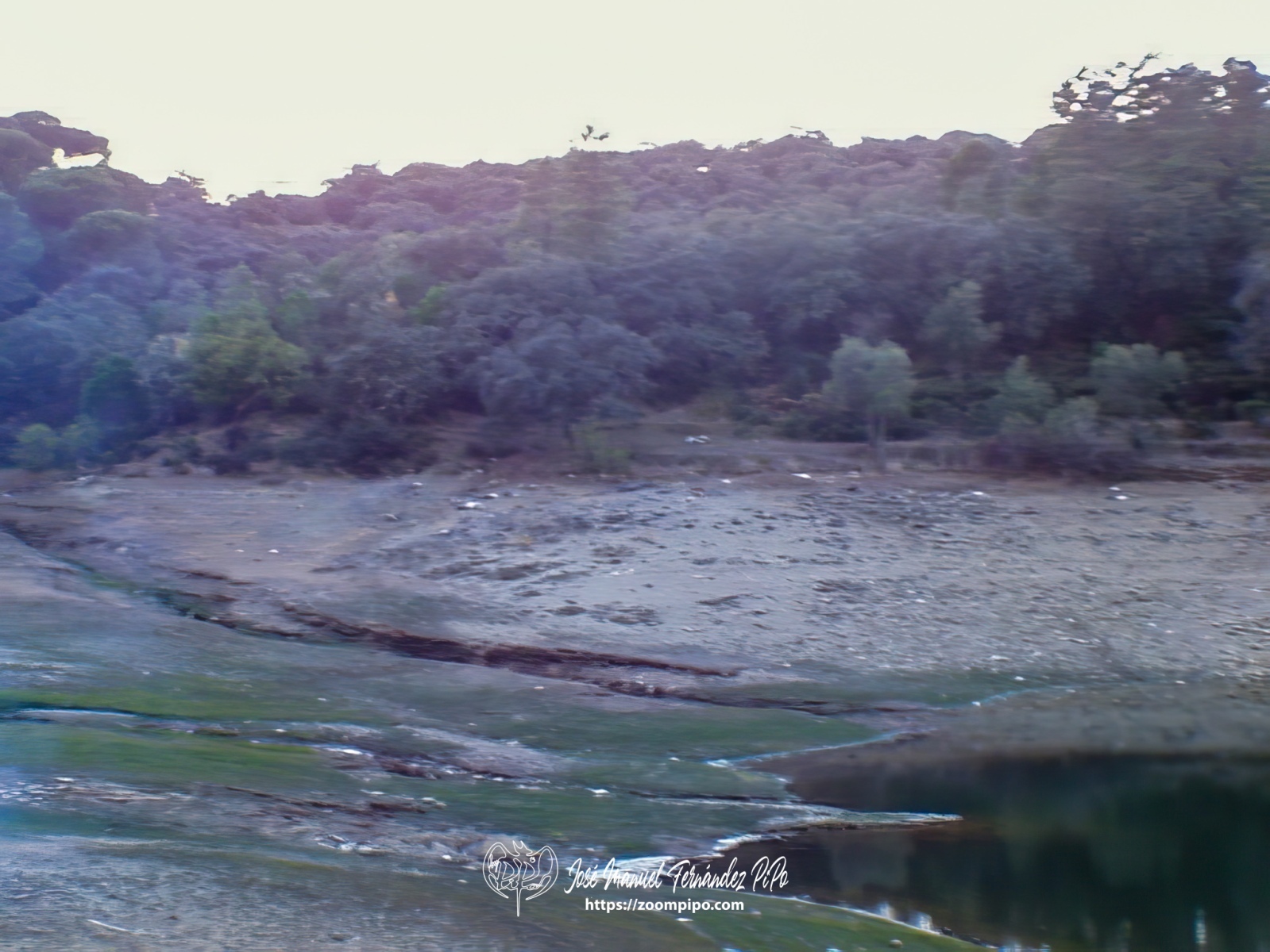 pic00023-E