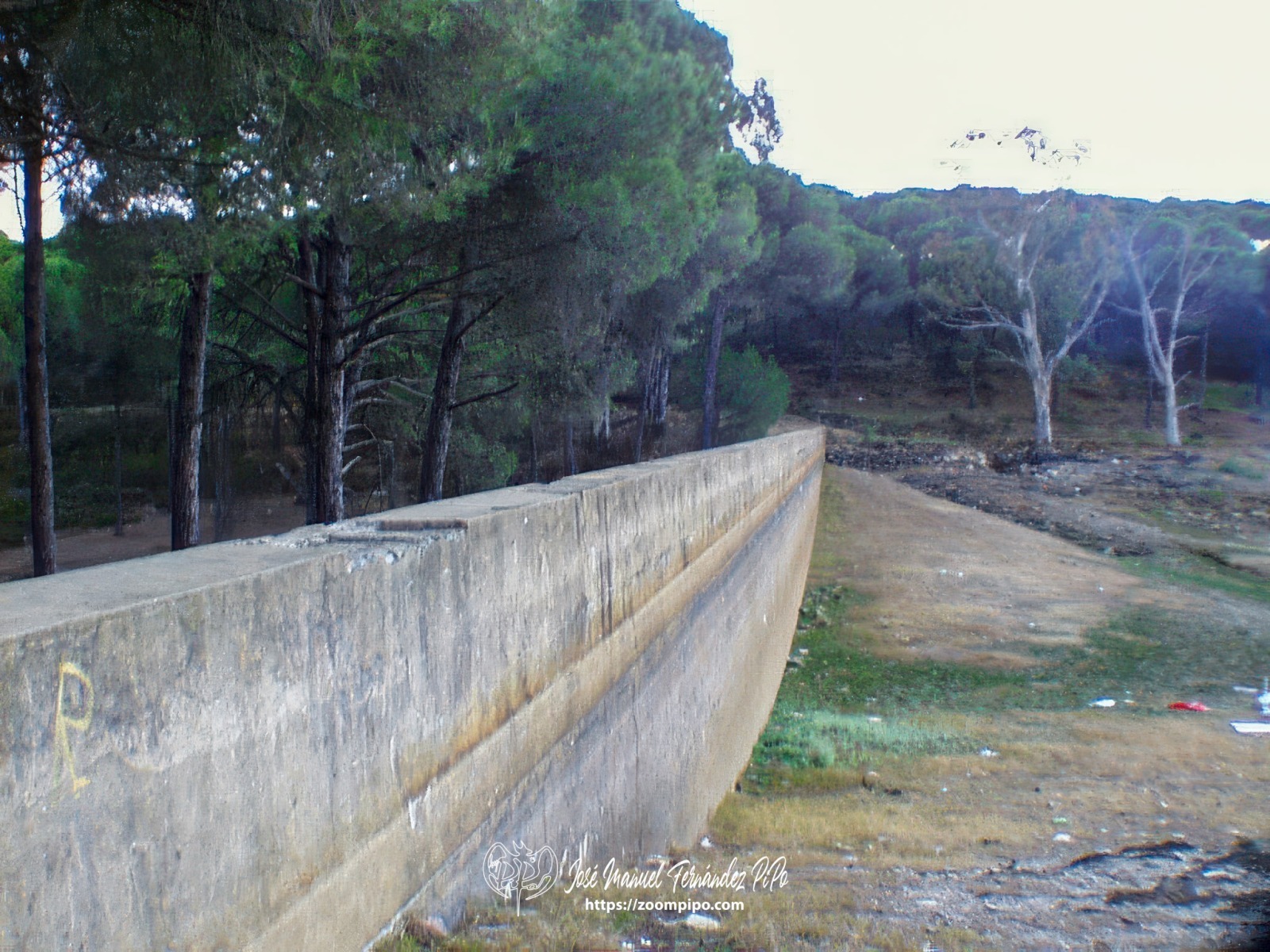 pic00028-E