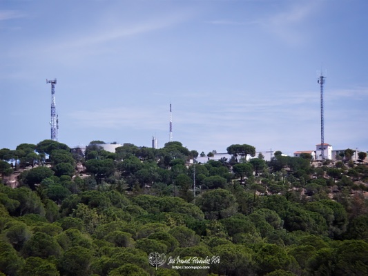 pic00115-JPG-Max-2-E