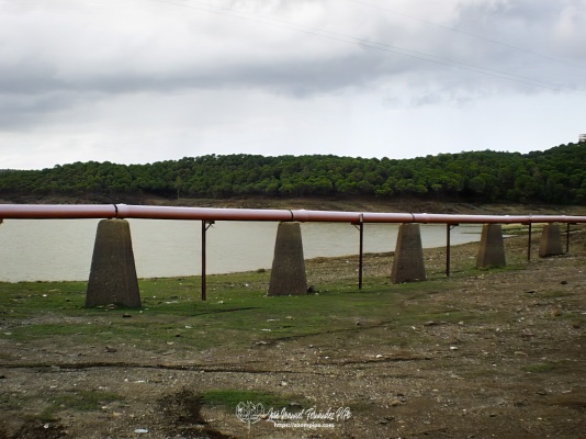 pic00214-E