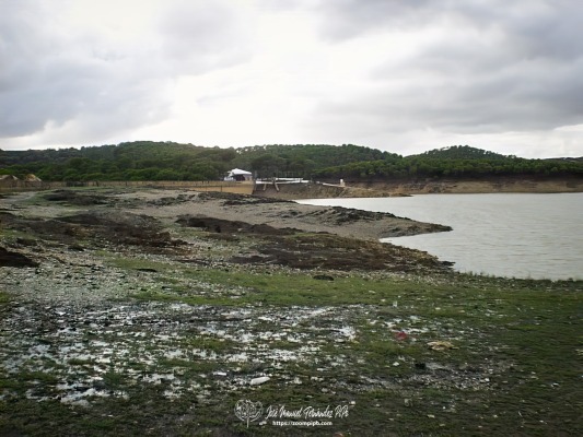 pic00215-E