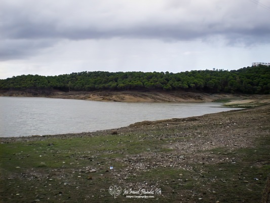 pic00216-E