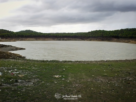 pic00217-E