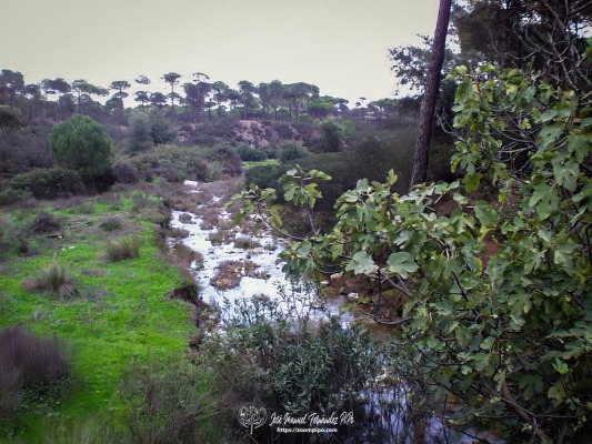 pic00219-E