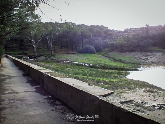 pic00222-E