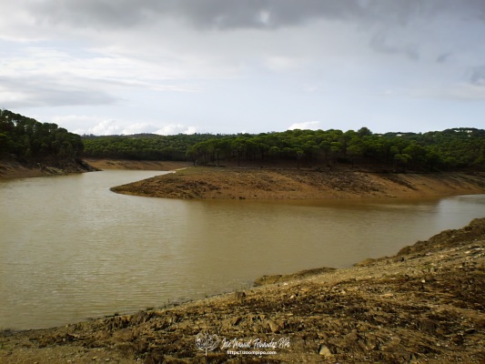 pic00223-E