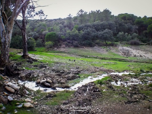 pic00224-E