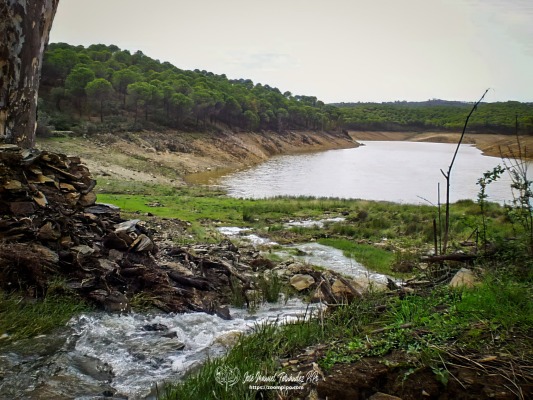 pic00226-E