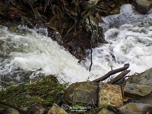 pic00227-E
