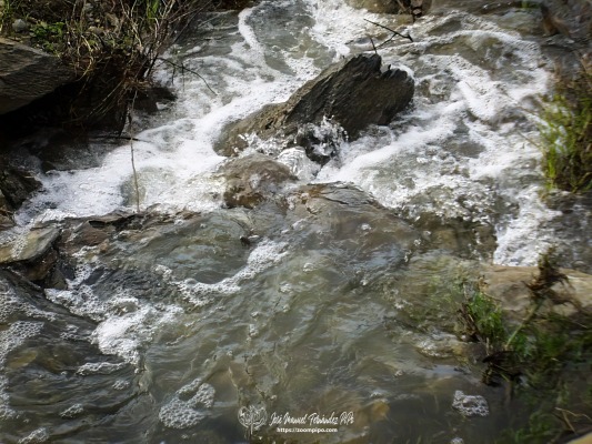 pic00228-E
