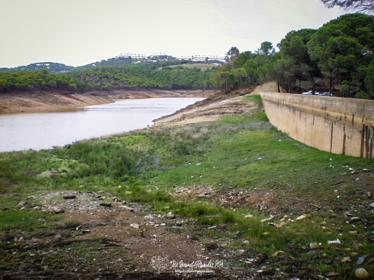 pic00229-E