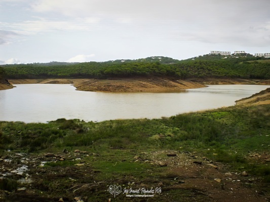 pic00231-E