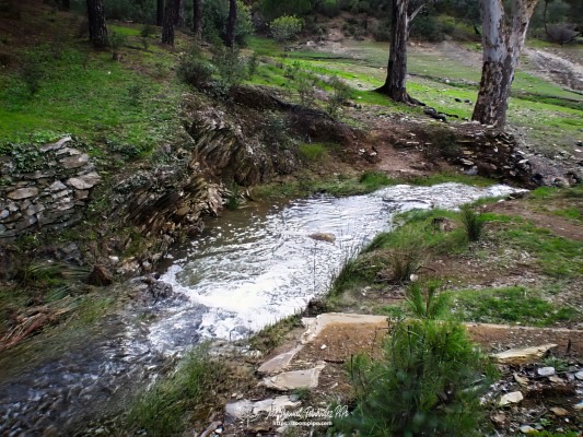 pic00234-E